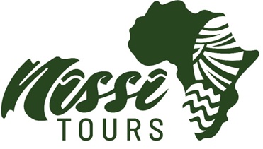 Nissi Tours & Travels